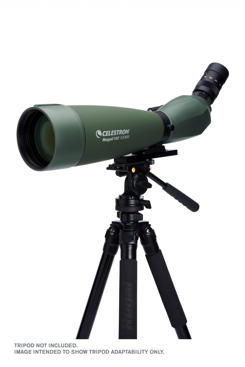 Celestron Regal M2 22-67x100mm ED Angled Zoom Spotting Scope