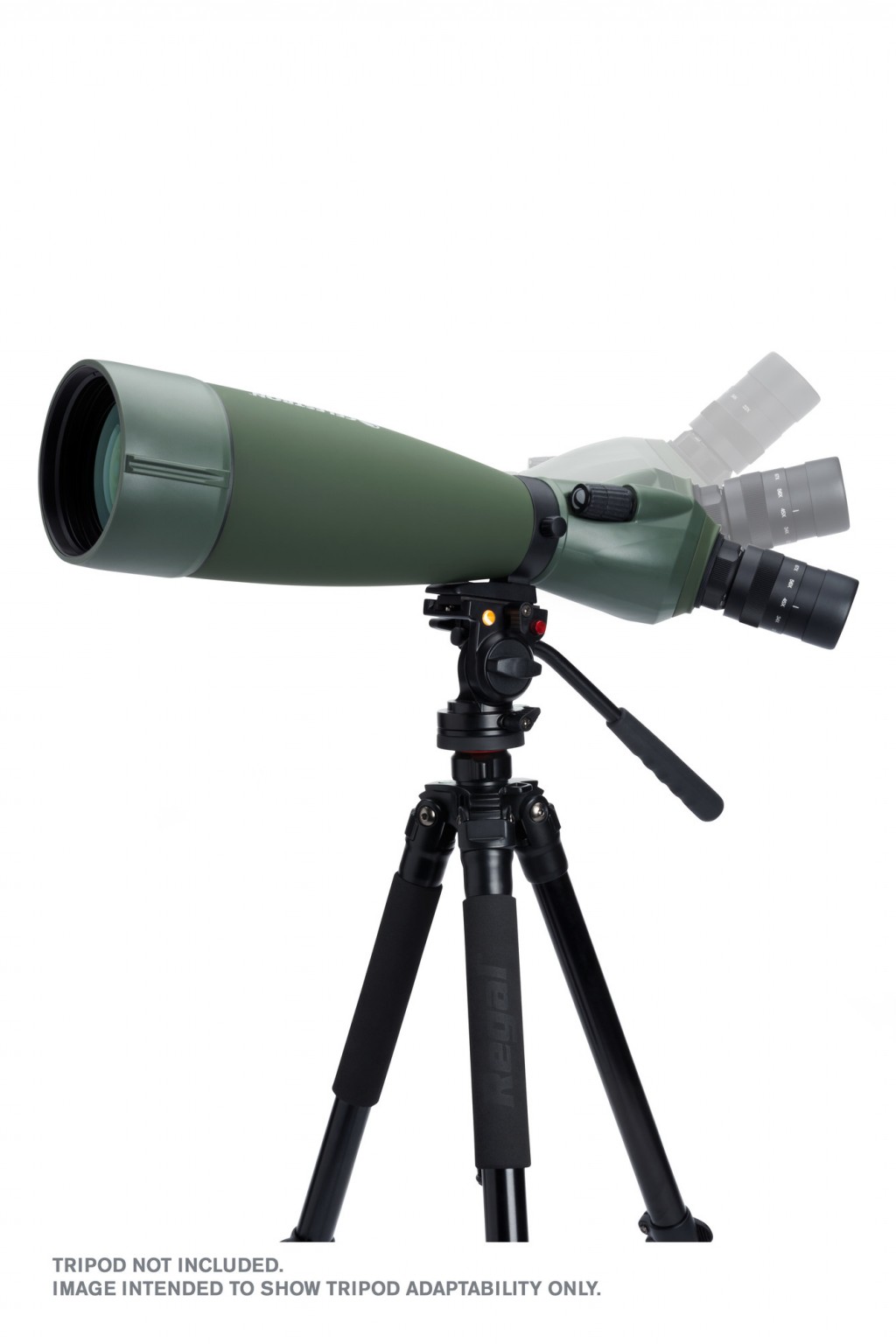 Celestron Regal M2 22-67x100mm ED Angled Zoom Spotting Scope
