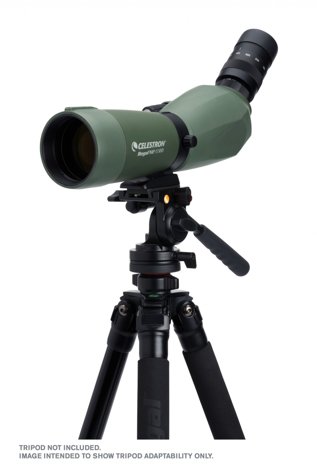 Celestron Regal M2 16-48x65mm ED Angled Zoom Spotting Scope