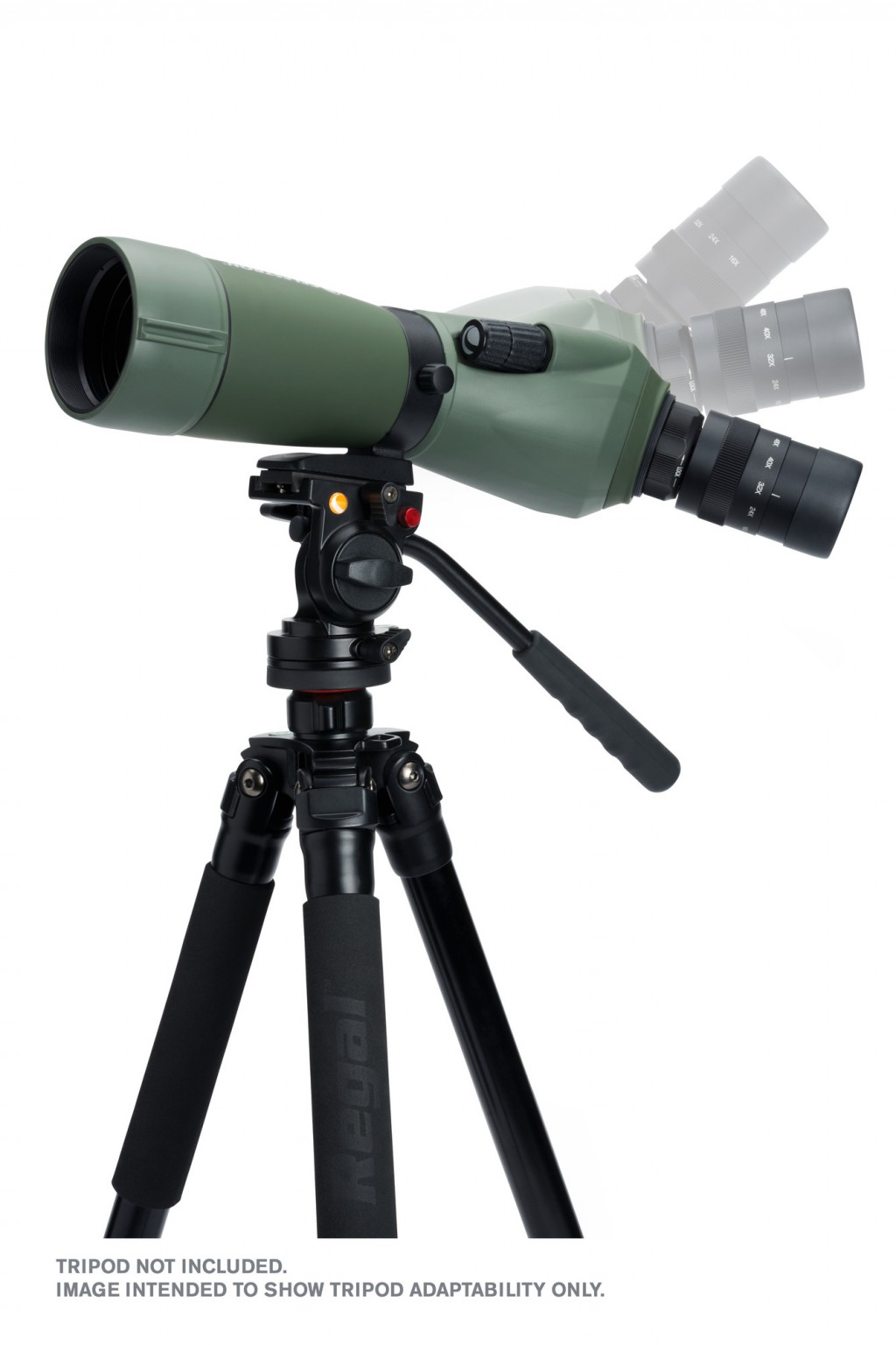 Celestron Regal M2 16-48x65mm ED Angled Zoom Spotting Scope