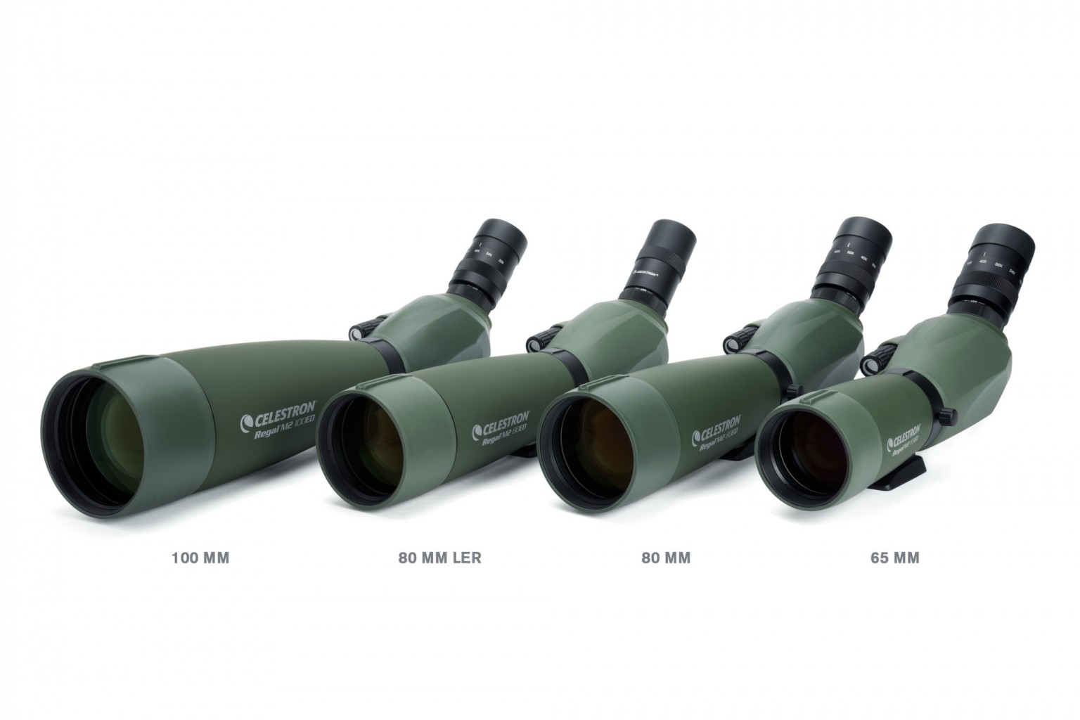 Celestron Regal M2 16-48x65mm ED Angled Zoom Spotting Scope